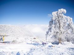 -太子岭滑雪场