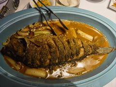 -阿五黄河大鲤鱼(英协路店)