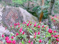 -雁荡山风景名胜区