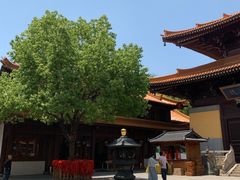 -亭林园-华藏寺