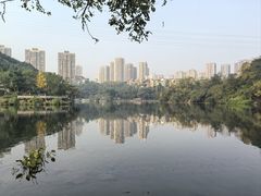 -重庆彩云湖湿地公园