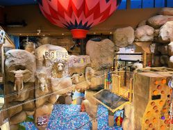 -卡通尼·Safari非洲探索乐园·生日会(金桥国际商业广场店)