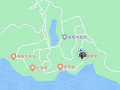 -广东惠东海龟国家级自然保护区