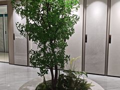 -闽龙广场