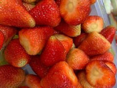 -老炳·七丛松甘草水果