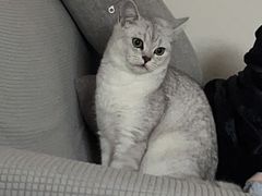 -贝康宠物医院·犬猫全科·小动物特色诊疗中心(东环路店)