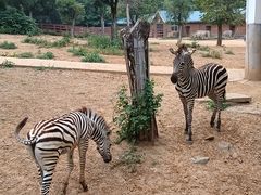 -石家庄市动物园