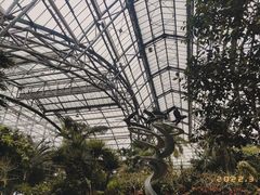 -南山植物园