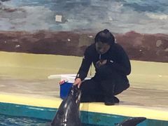 -福州罗源湾海洋世界旅游区