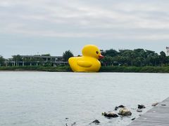 -深圳人才公园