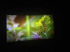 -幸福蓝海国际影城(烟台大悦城IMAX店)