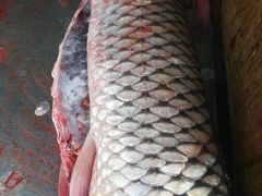 -梅记大块头爆鱼店(乍浦路店)