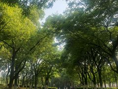 -白塘生态植物园