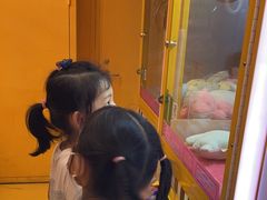 -不可思议减压馆·解压博物馆·摔碗发泄·团建定制