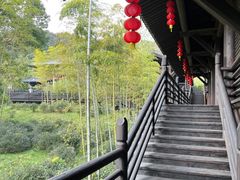 -大唐贡茶院