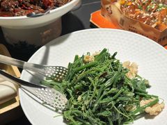 -三强鸽子(中原路店)