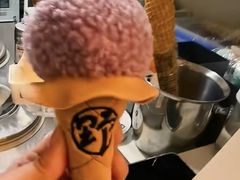 -野人先生现做冰淇淋(北京环宇荟店)