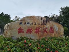 -大亚湾红树林城市湿地公园