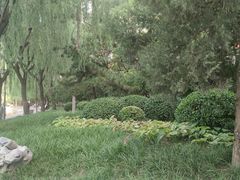 -团结湖公园
