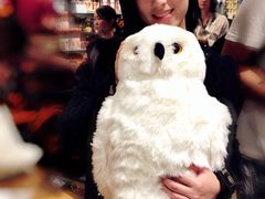 -九又四分之三站台哈利波特商店