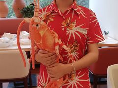 -第六季自助餐厅(北太平庄店)
