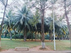 -白沙门生态公园