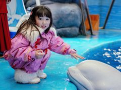 -海合安成都极地海洋公园