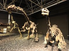 -世界恐龙谷景区