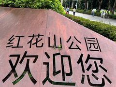 -红花山公园