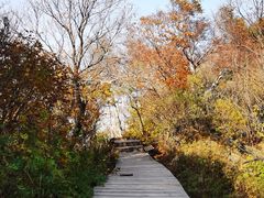 -白草畔自然风景区