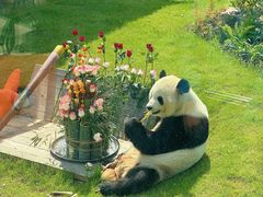 -无锡动物园·太湖欢乐园