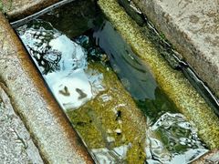 -白沙古井