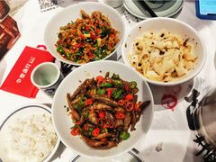 鸭掌筋-壹盏灯(惠农店)