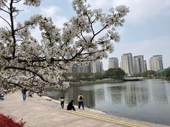 -新江湾城公园