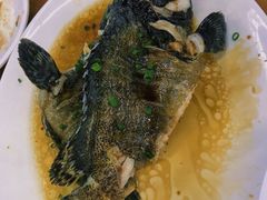 -明记海鲜大排档(巽寮湾店)