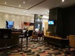大堂-上海大宁福朋喜来登酒店大堂吧(共和新路店)