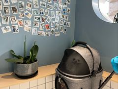 -柏萃动物医院·骨科·牙科