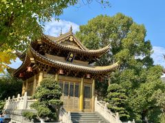 -上海东林寺(金山区)