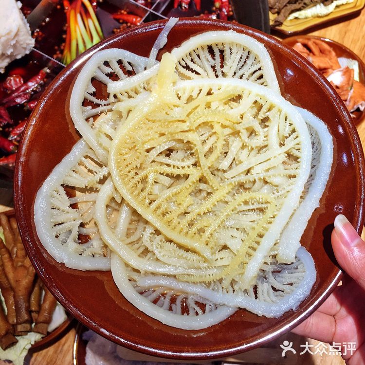 宝藏重庆九宫格火锅🔥辣到起飞你敢尝试吗⁉️