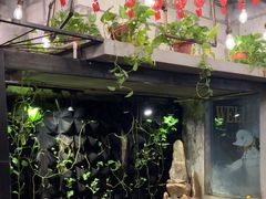 -甲大帅·甲鱼·椰子鸡主题餐厅(唐家店)