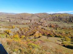 -塞罕坝国家级自然保护区