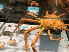 -天津自然博物馆