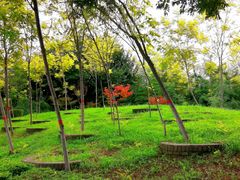 -西安汉城湖景区