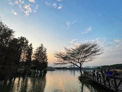 -海珠湖公园