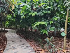 -歌斐颂巧克力小镇