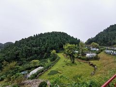 -三峡国际房车露营地(G348店)