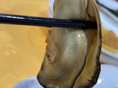 -蚝专家(北滘店)