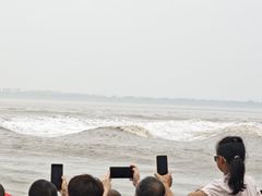 -观潮胜地公园
