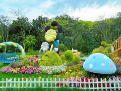 -上海共青森林公园