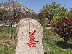 -崂山仰口游览区